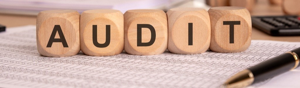 Audit -2191517284-newsletter