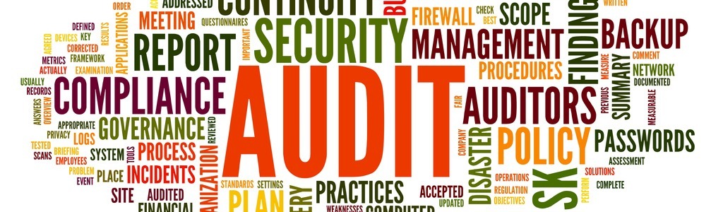 Audit -506935581-1