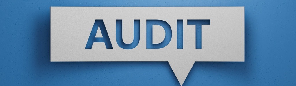 Audit 2193222540-newsletter