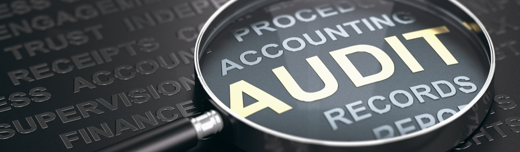 Audit records-1168185036-1
