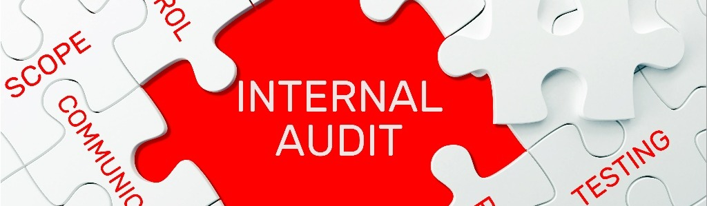 Internal Audit -997771458-1