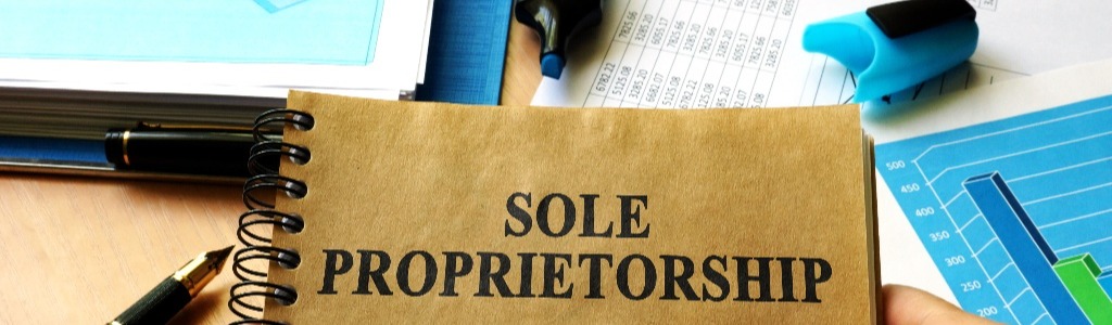 Sole Proprietor 696697608-1