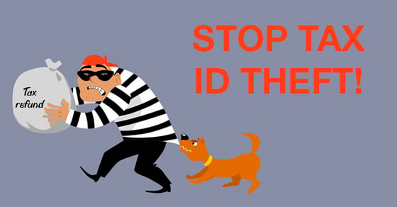 Tax ID Theft small