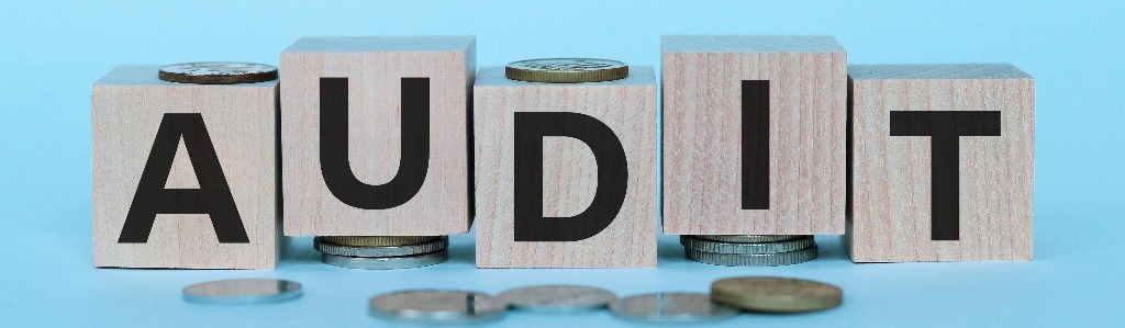 The word Audit -1269552004-1