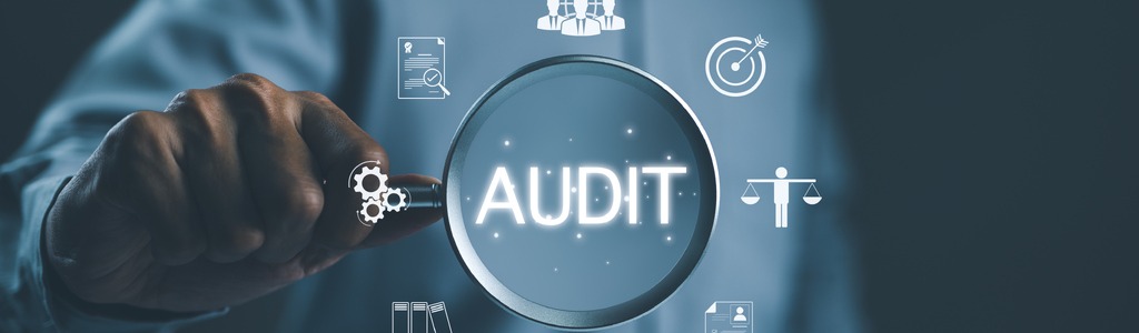 audit -2053133682-newsletter