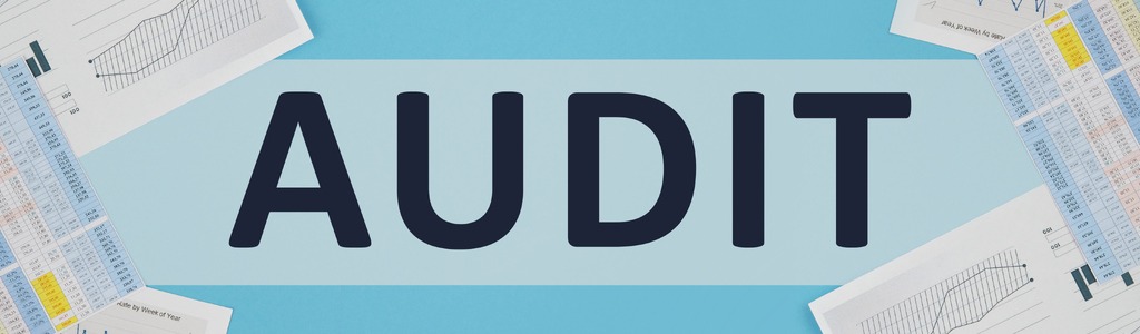 audit -2192449227-1