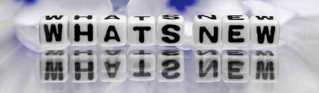 iStock_41667068_LARGE-822670-edited